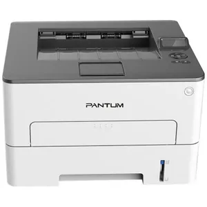 Замена памперса на принтере Pantum P3010DW в Краснодаре